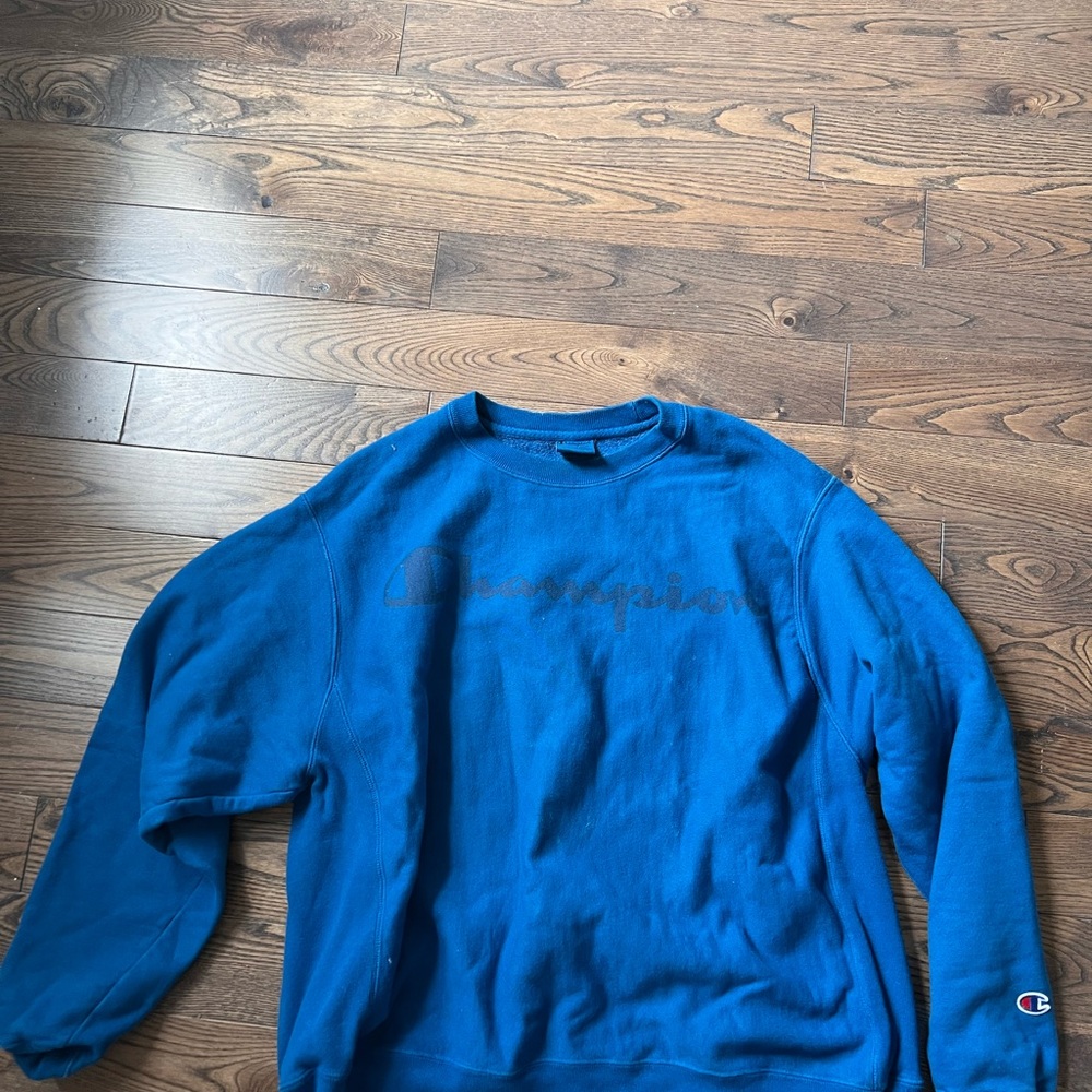 Champion Reverse Weave Sweatshirt (L)